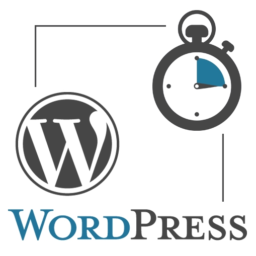 Visioconférence WordPress 15 minutes