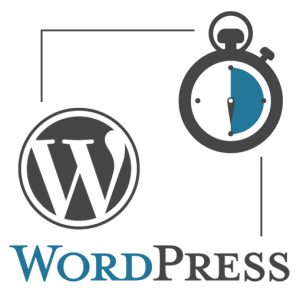 Visioconférence WordPress 30 minutes