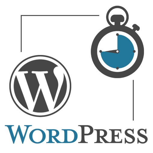 Visioconférence WordPress 45 minutes