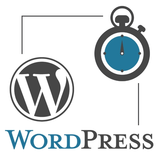 Visioconférence WordPress 60 minutes